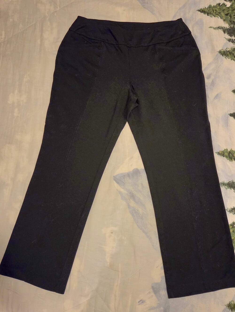 Cato Black Boot Cut Pull-On Pants